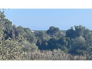 Vistas