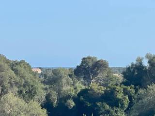 Vistas