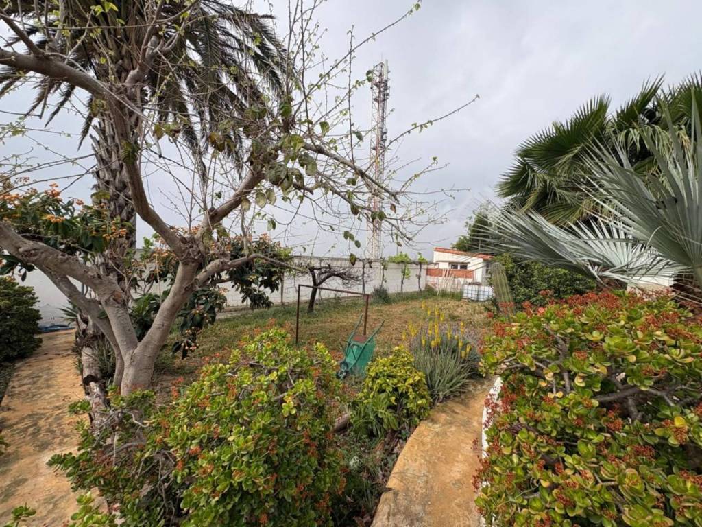 Jardín