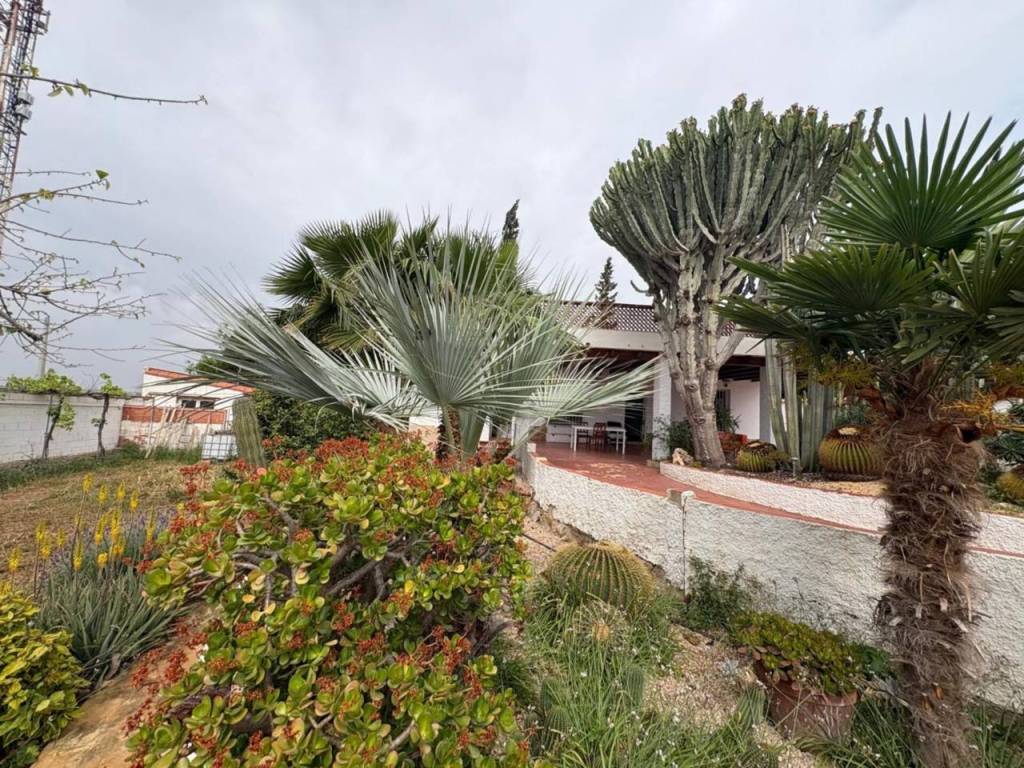 Jardín