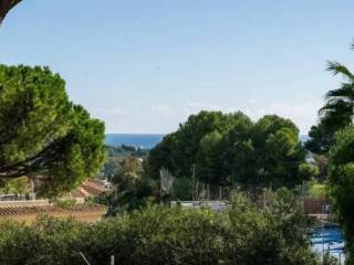 Vistas
