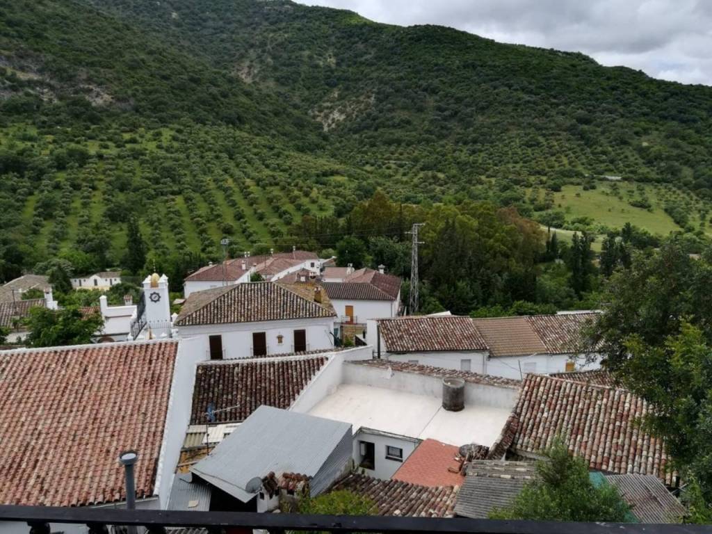 Vistas