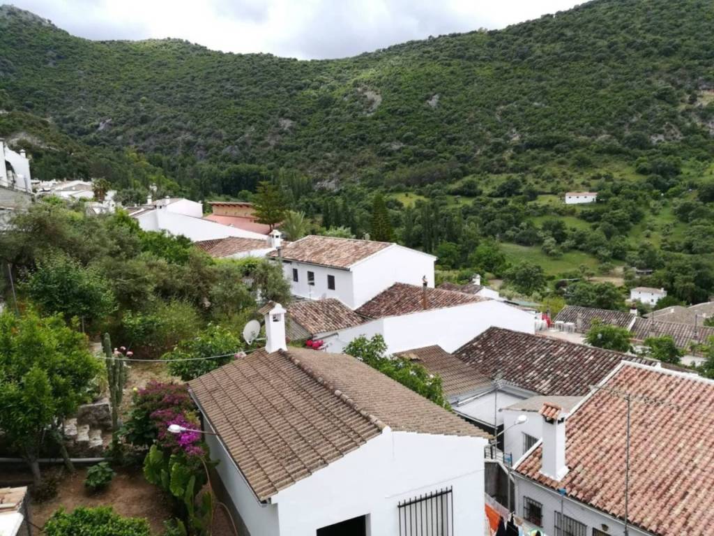 Vistas