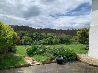 Jardín