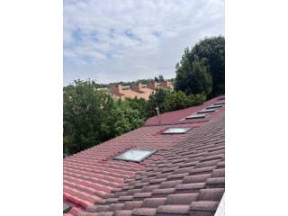 Vistas