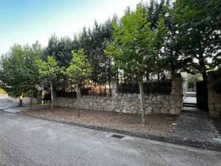 Jardín