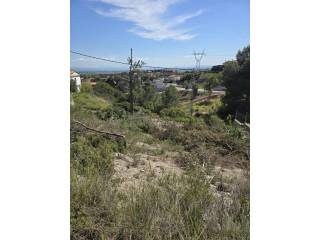 Vistas