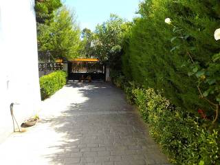 Jardín