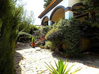 Jardín