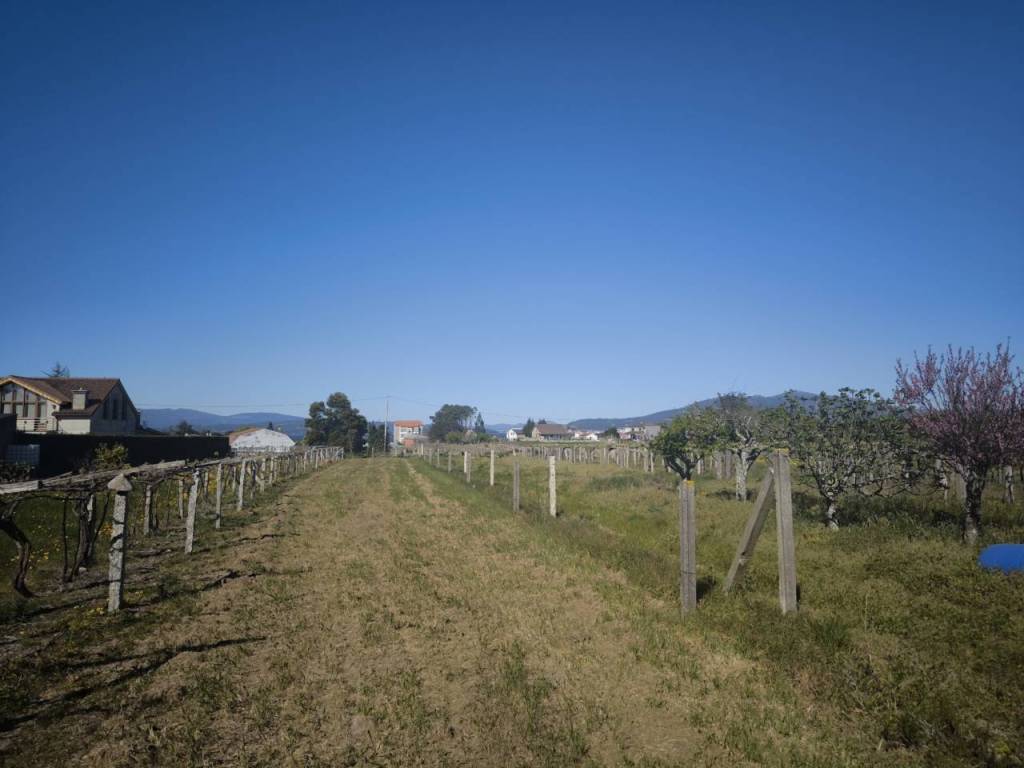 Jardín