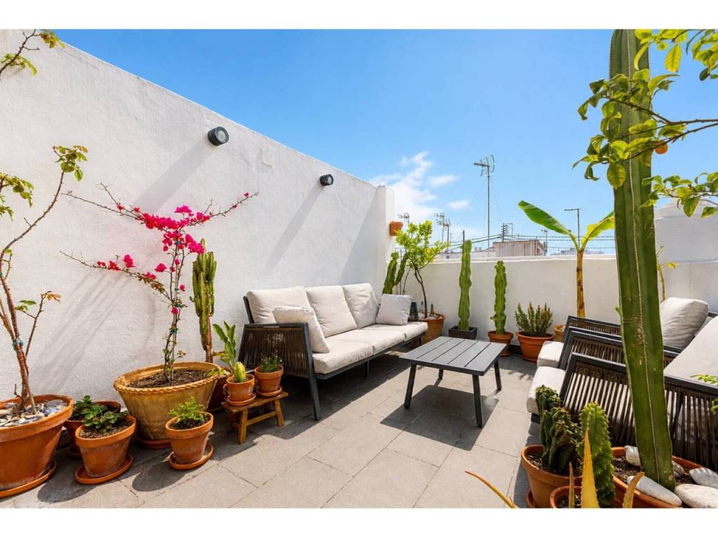 Terraza