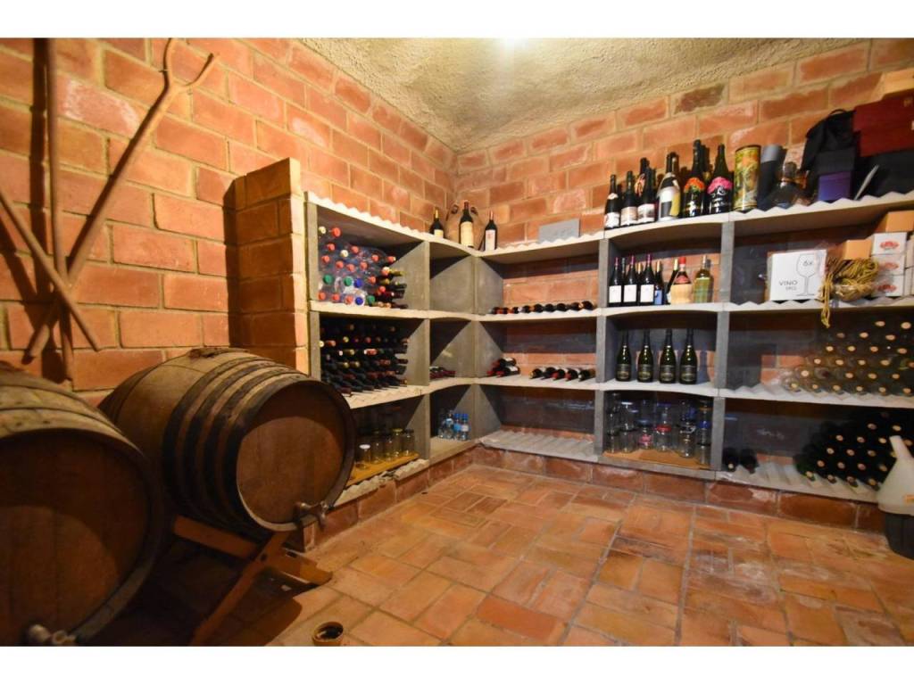 Bodega