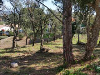 Jardín