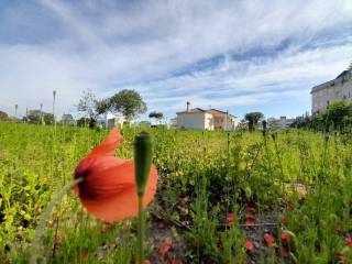 Jardín