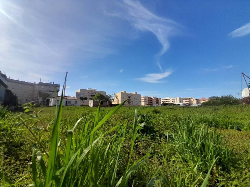 Jardín