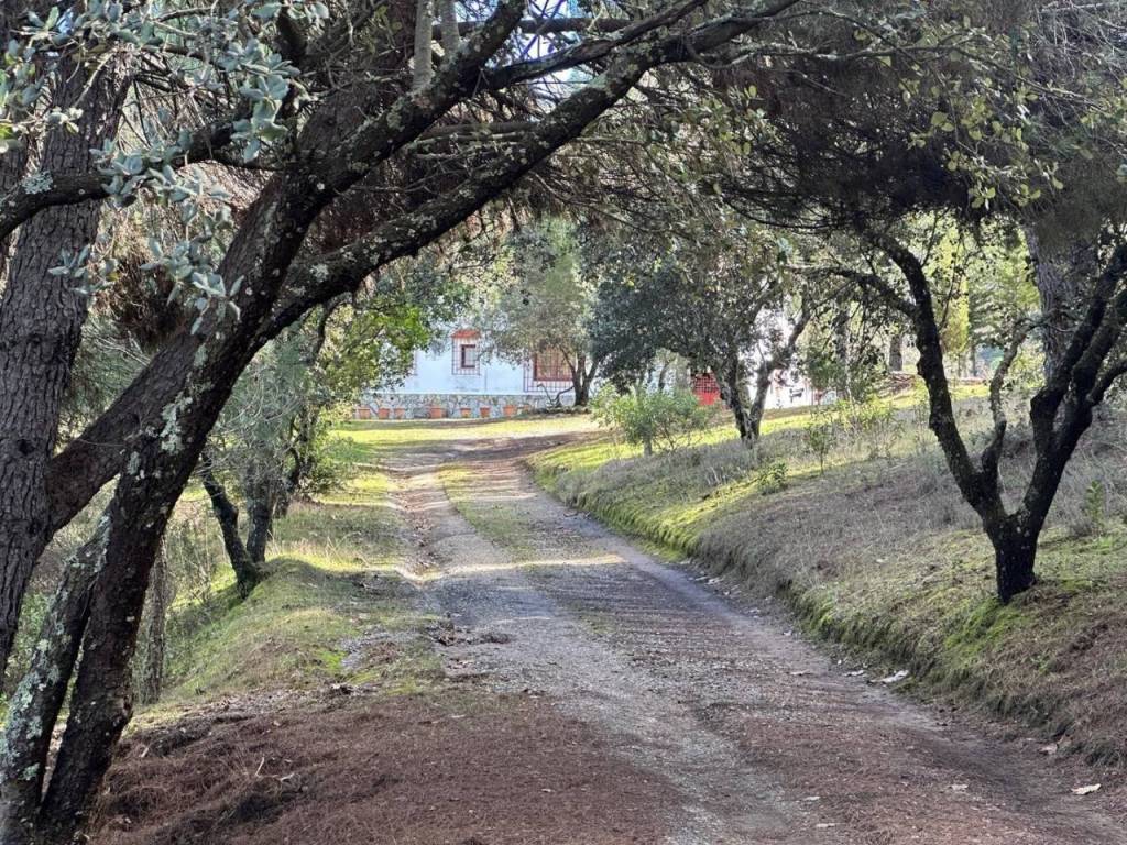 Alrededores