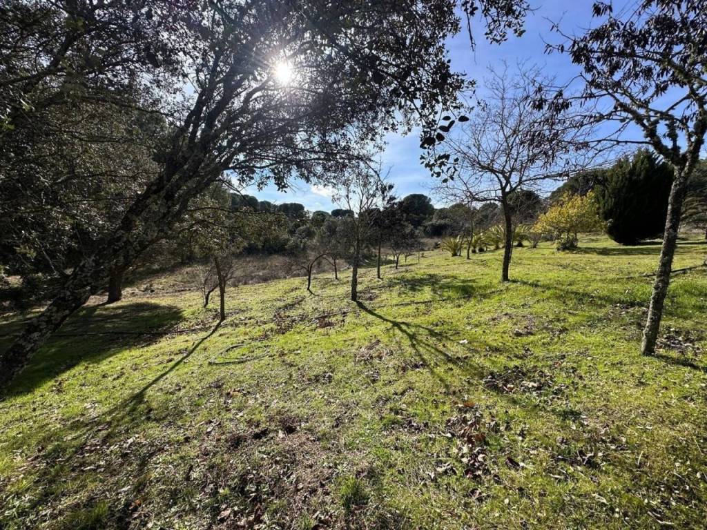 Alrededores