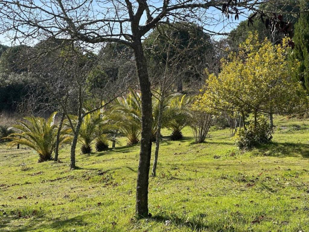 Alrededores