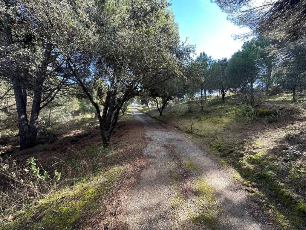 Alrededores