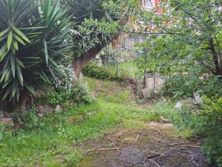 Jardín