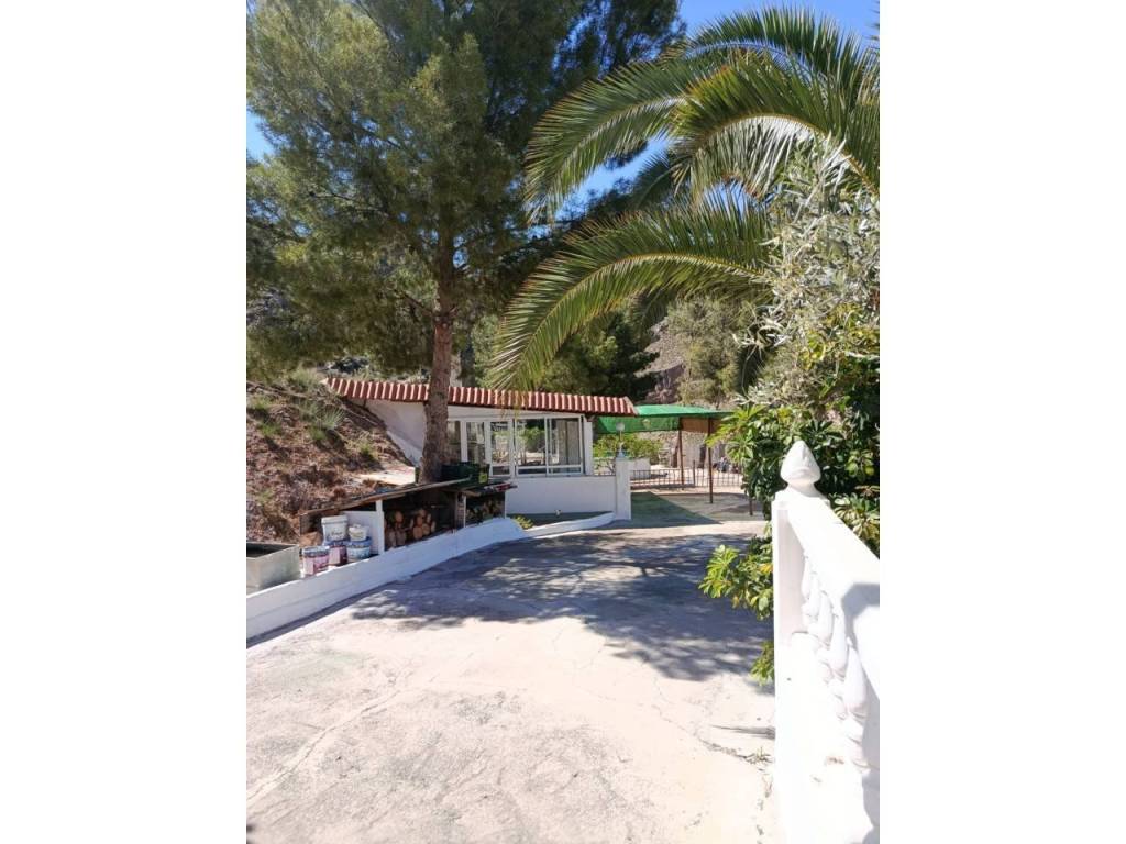 Entrada/Salida