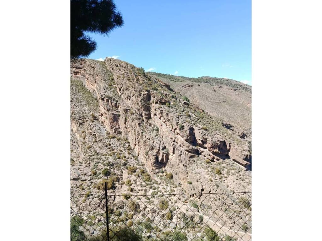 Vistas