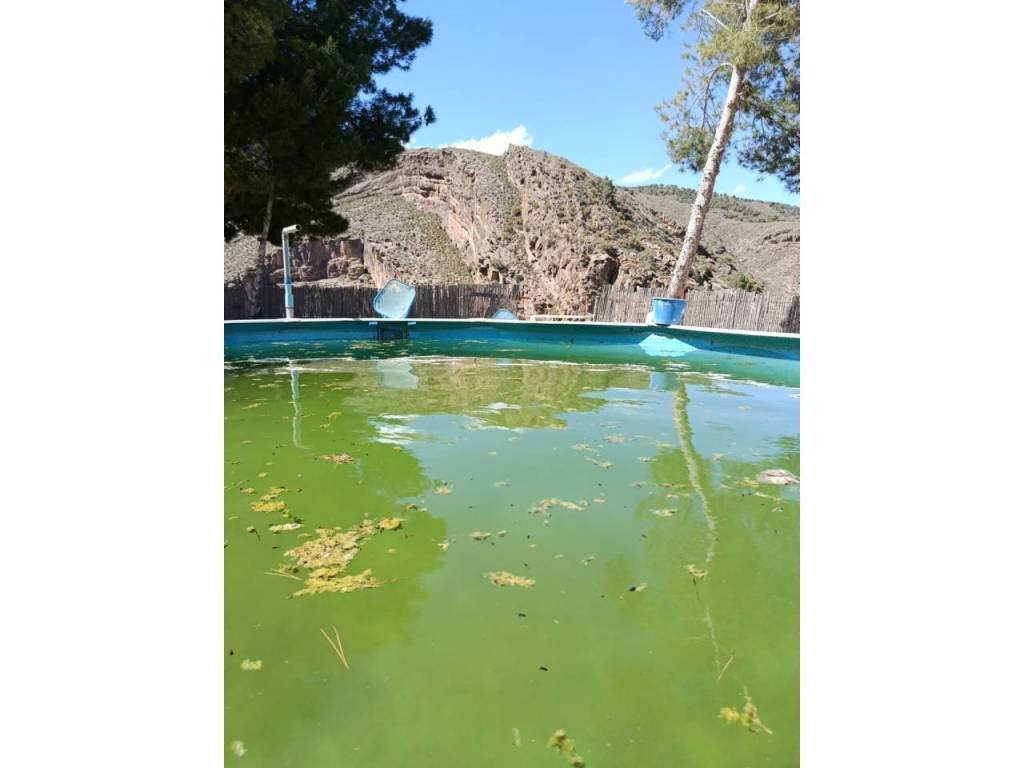 Piscina
