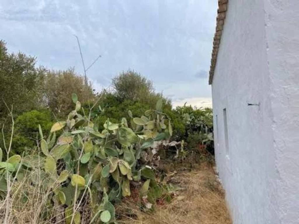 Jardín