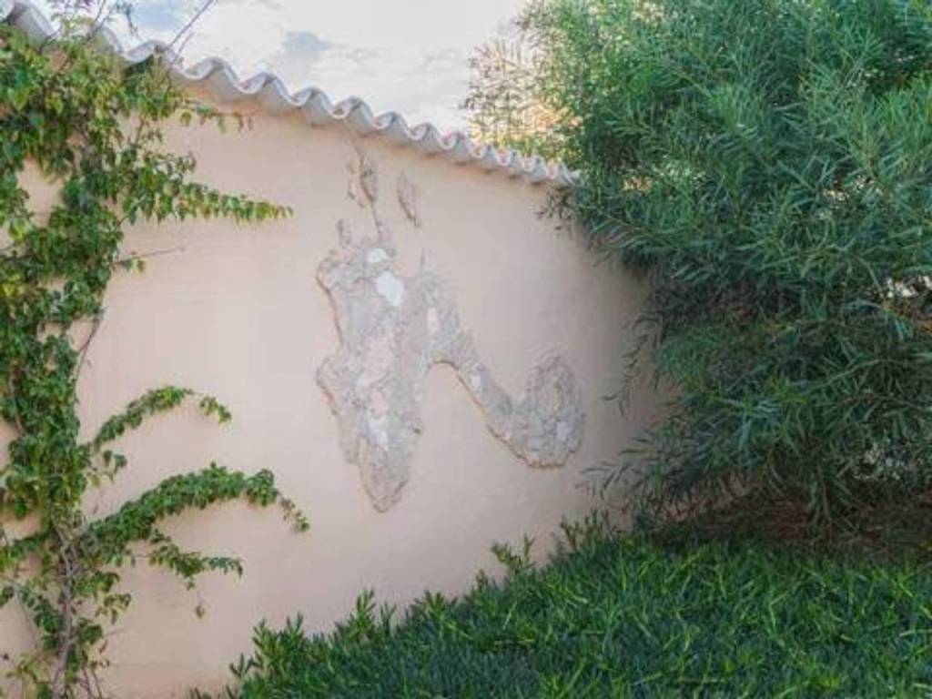 Jardín