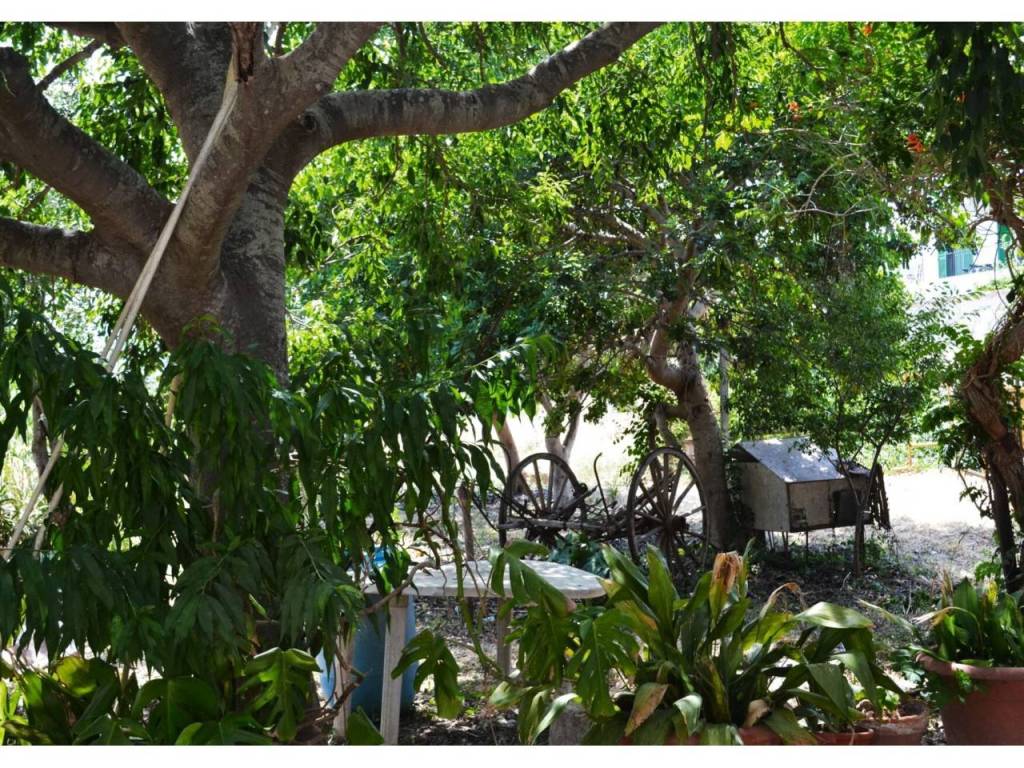Jardín