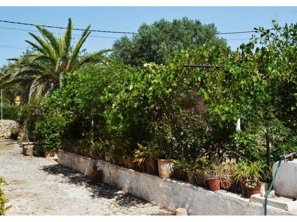 Jardín
