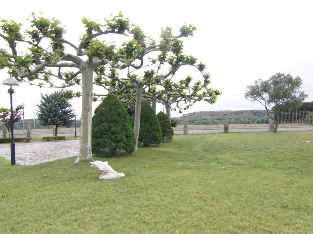 Jardín