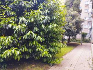 Jardín