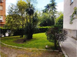 Jardín