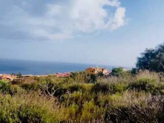 Vistas