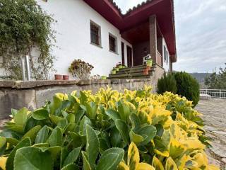 Jardín