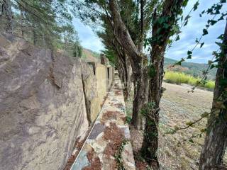 Jardín