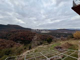 Vistas