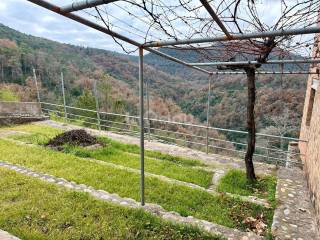 Jardín