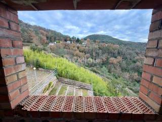 Vistas