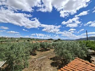 Vistas
