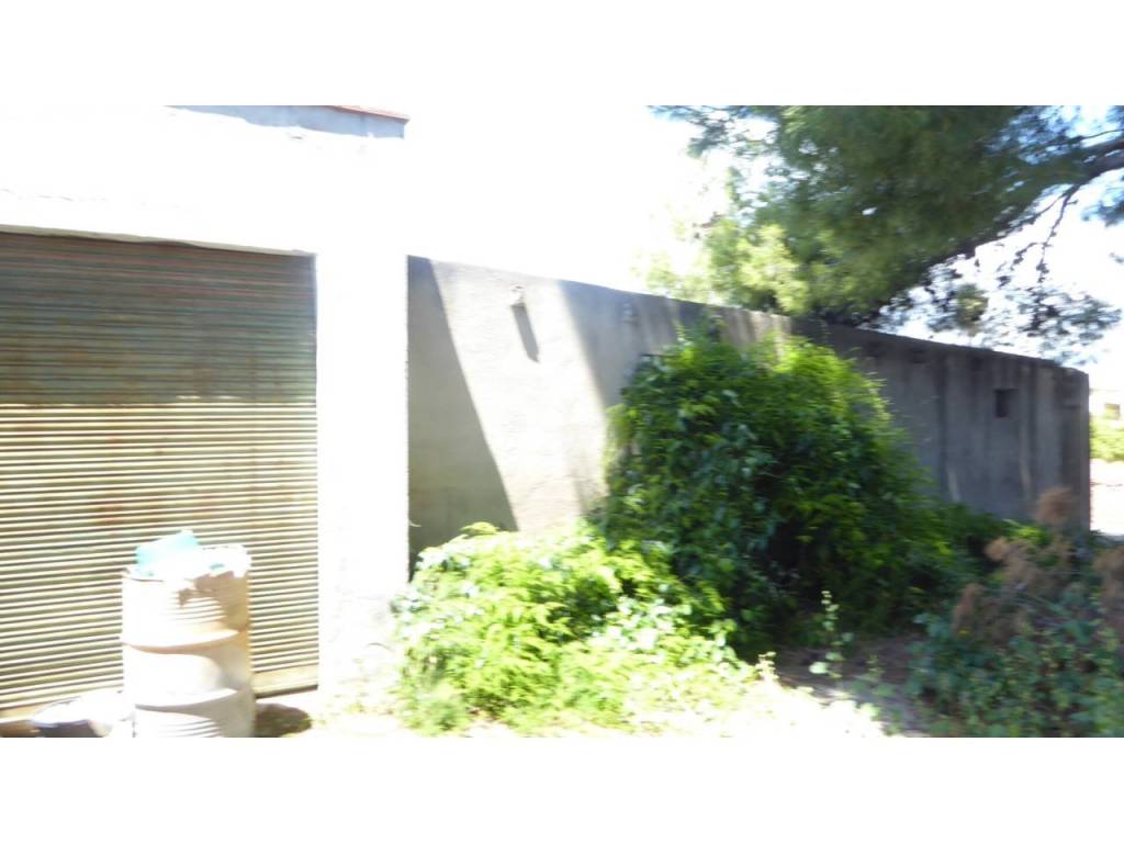 Jardín