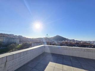 Vistas