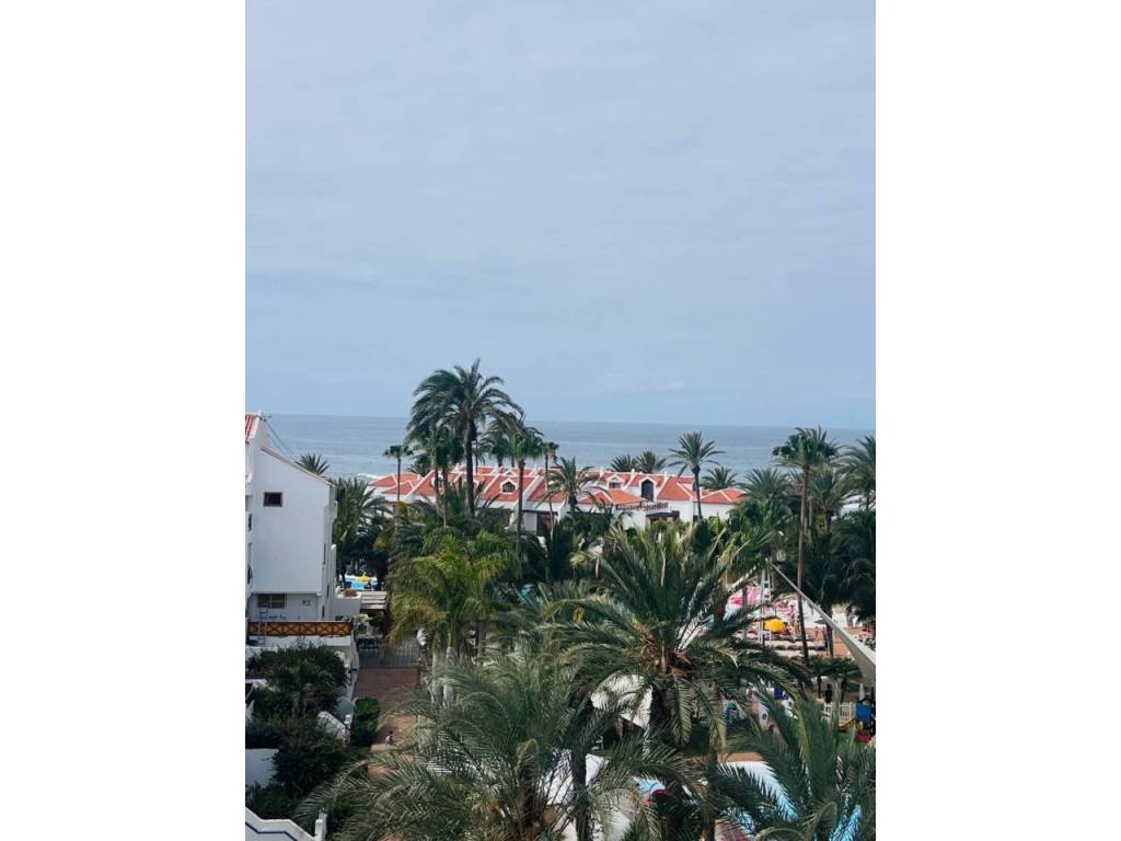 Vistas