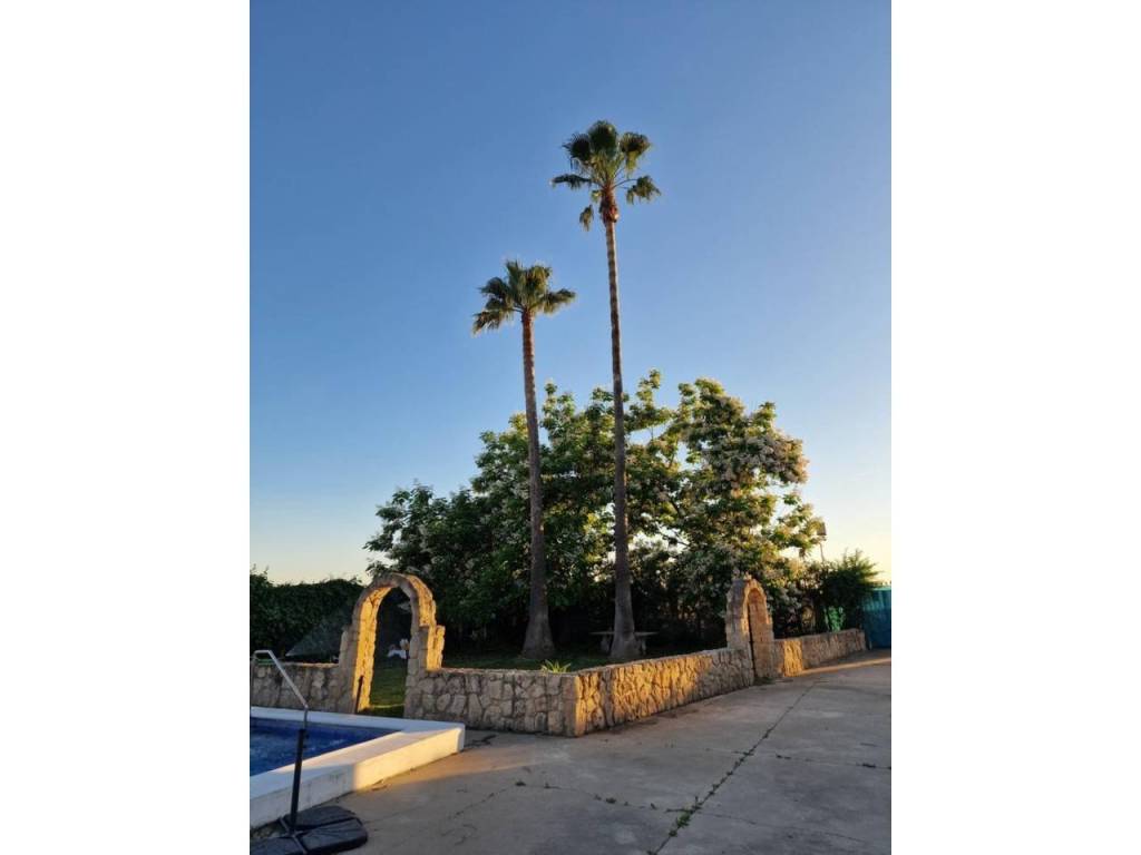 Jardín