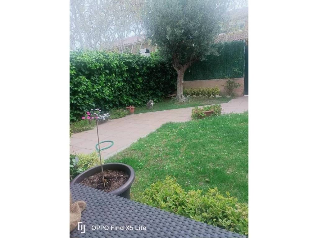 Jardín