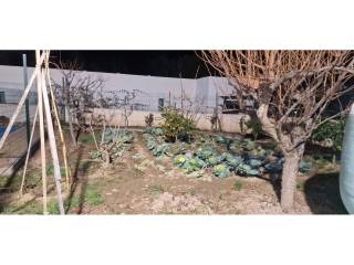 Jardín