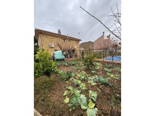 Jardín