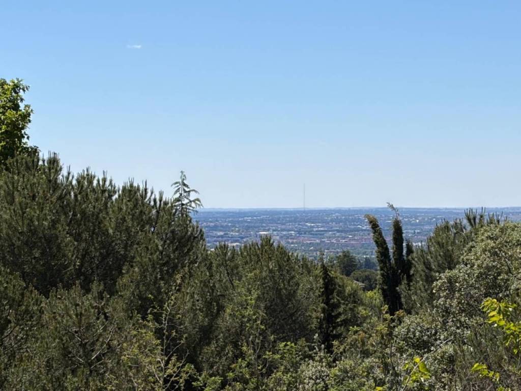 Vistas