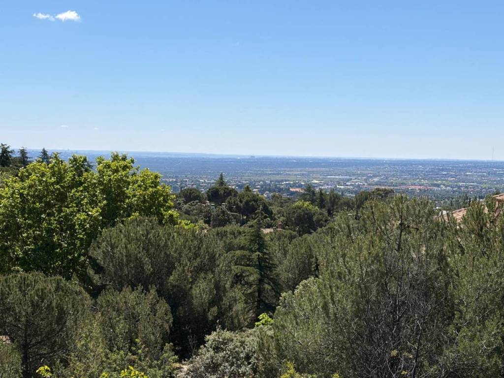 Vistas